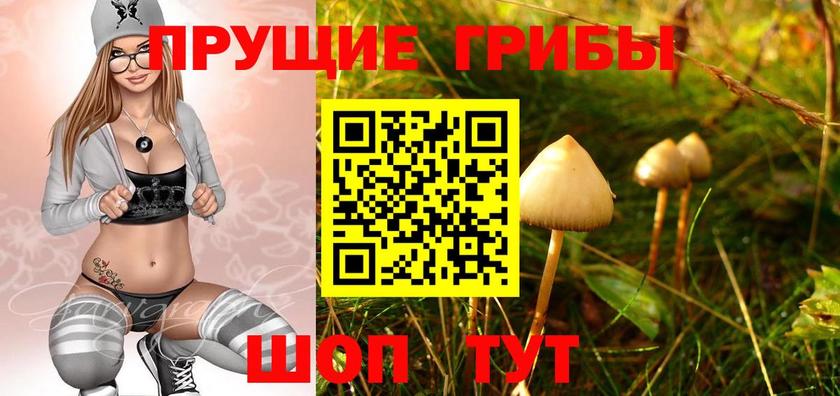 Галлюциногенные грибы Psilocybine cubensis  Псилоцибиновые грибы мицелий  Новосибирск  Вход с VPN 