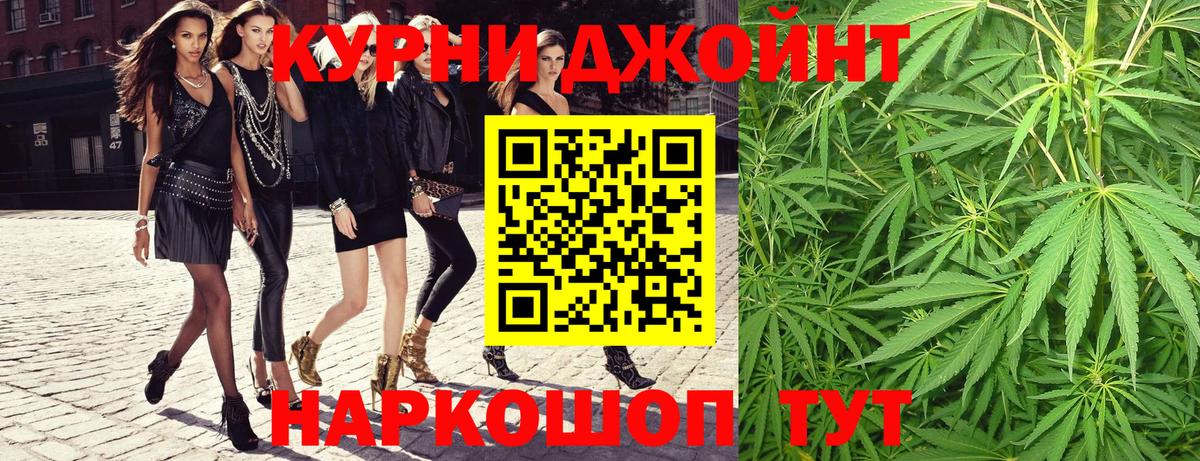 Бошки марихуана семена  Вход с VPN  Бошки Шишки OG Kush  Новосибирск  Конопля конопля 